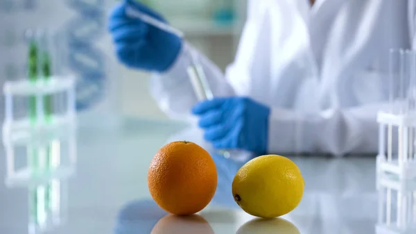 Zitrusfrüchte Auf Dem Labortisch Wissenschaftler Extrahieren Essenz Für Die Parfümherstellung — Stockfoto