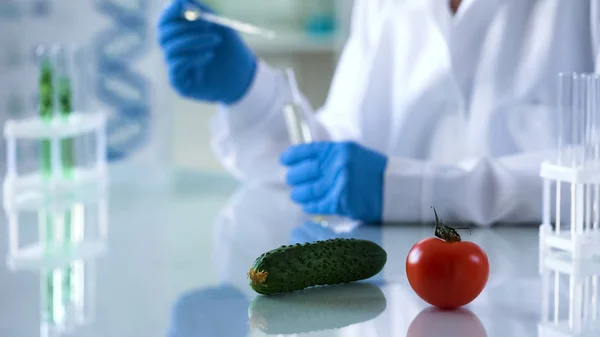 Produtos Hortícolas Que Encontram Estudos Alimentos Geneticamente Modificados Mesa Laboratório — Fotografia de Stock