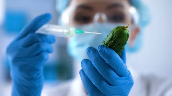 Lady Bioloog Injecteren Van Bestrijdingsmiddelen Vloeistof Komkommer Plantaardige Kwaliteitscontrole — Stockfoto