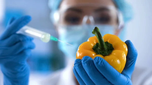 Científico Inyectando Líquido Modificado Genéticamente Pimienta Experimento Alimentos —  Fotos de Stock