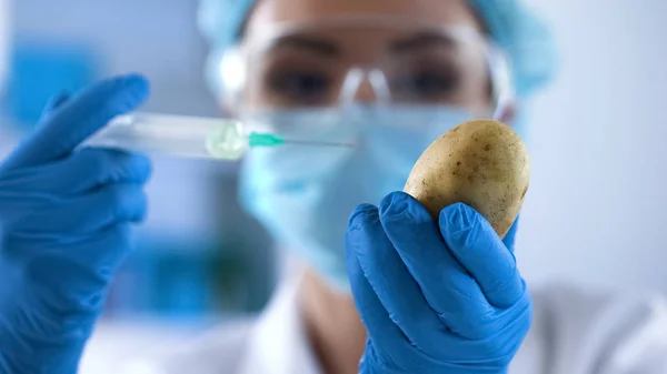 Wissenschaftler Bereitet Sich Auf Die Injektion Von Testflüssigkeit Kartoffeln Genetische — Stockfoto