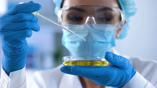 Investigadora Laboratorio Hembra Goteando Líquido Prueba Placa Petri Comprobando Reacción — Foto de Stock