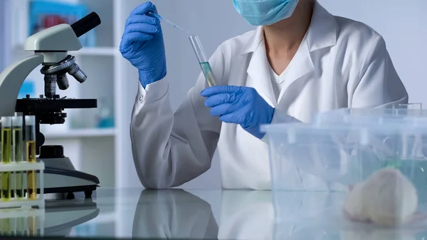 Scienziato Gocciolamento Liquido Prova Tubo Sviluppo Nuova Medicina Test Roditori — Foto Stock