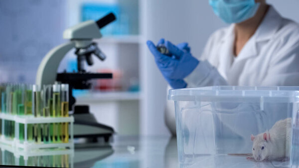 Female biologist preparing to test medicine on lab animal, vaccine development