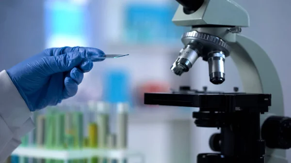 Trabajador Laboratorio Poniendo Vidrio Bajo Microscopio Para Examen Muestra Microbiología — Foto de Stock