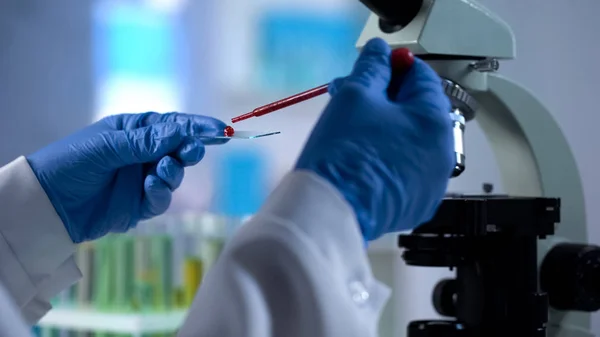 Científico Goteando Muestras Sangre Para Examen Genético Prueba Microbiológica — Foto de Stock