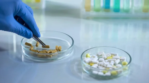 Лаборант Принимает Таблетки Чашки Петри Ланцетом Фармацевтической Промышленности — стоковое фото