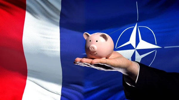 Frankrike Investeringar Nato Affärsman Handen Håller Piggybank Flagga Bakgrund — Stockfoto