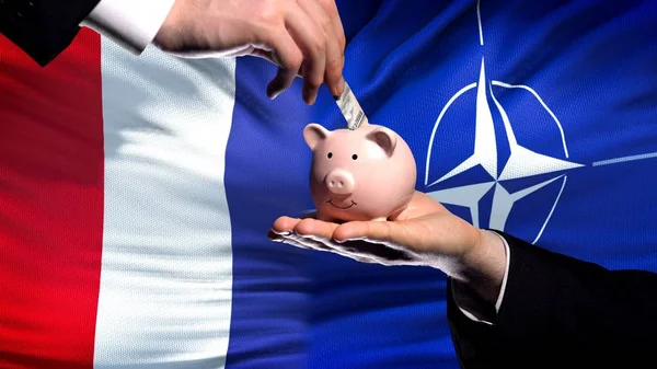 Frankrike Investeringar Nato Hand Att Lägga Pengar Piggybank Flagga Bakgrund — Stockfoto