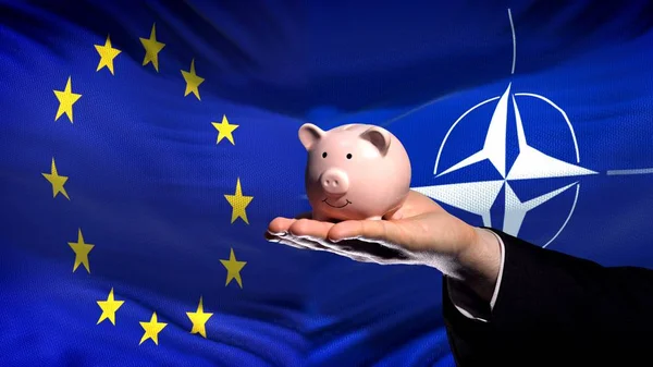 Investeringar Nato Affärsman Handen Håller Piggybank Flagga Bakgrund — Stockfoto