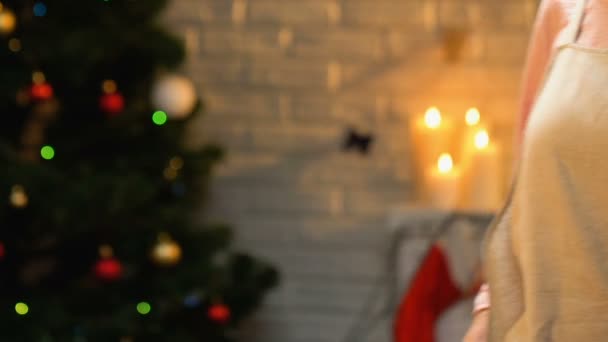 Grandmother Wearing Apron Looking Camera Time Christmas Baking Closeup — Stock Video