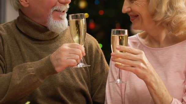 Старшая Пара Пьет Шампанское Празднует Новый Год Вместе Крупным Планом — стоковое видео