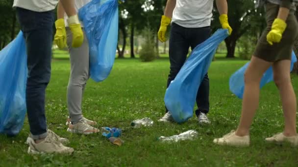 Family Enthusiasts Doing Voluntary Saturday Work Picking Garbage Park — Stock Video