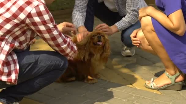 愉快的家庭抚摸可爱的狗一起与宠物从庇护所收养的乐趣 — 图库视频影像