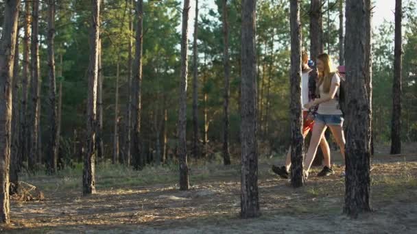 带着旅游包的年轻夫妇在风景如画的树林里野营 浪漫的周末 — 图库视频影像