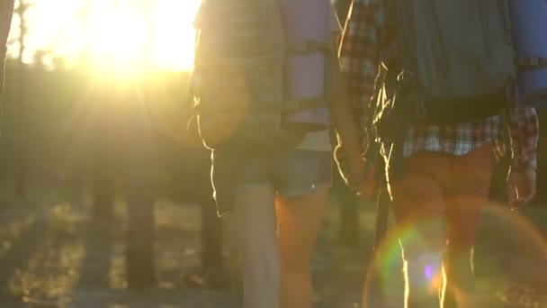 Novia Novio Tomados Mano Yendo Juntos Madera Brillante Futuro — Vídeo de stock