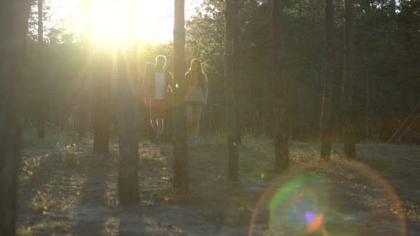 一对恋人一起在树林里度过活跃的周末 互相拥抱 — 图库视频影像