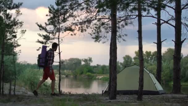 Single Camper Raising Arms Enjoying Freedom Nature Lover Tourist Back — Stock Video