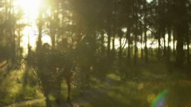 Backpackers çalılık, kamp severler, aktif yaşam tarzı ve yürüyüş gidiş