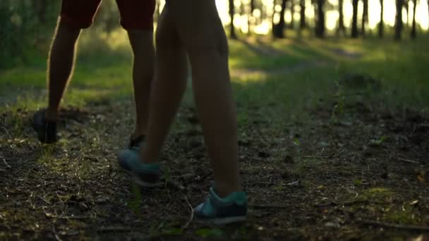 自然を愛する 森の中の快適なスポーツ靴で歩くキャンプ用品 — ストック動画