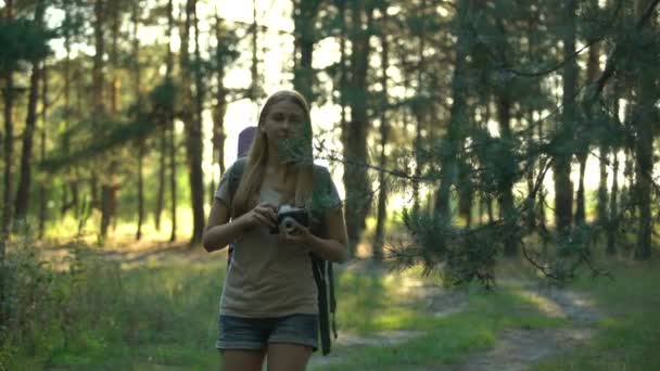 独奏露营者享受野生动物和拍摄冷杉树叶的照片 自然统一 — 图库视频影像