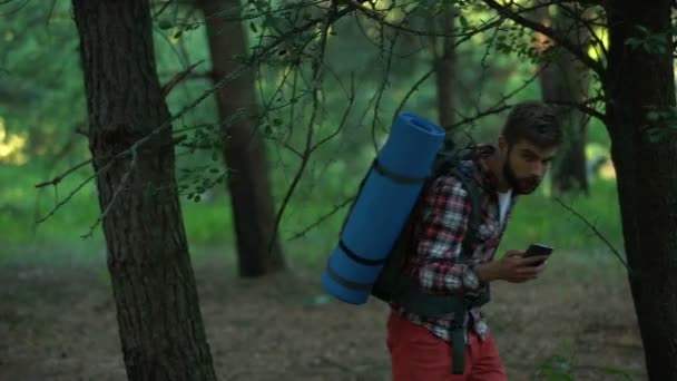 Camper Busca Señal Teléfono Móvil Después Perdido Los Bosques Mala — Vídeos de Stock