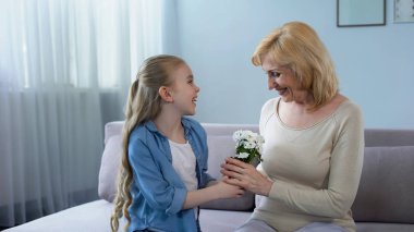 Büyükanne, aşk chamomiles buket tatil sunan sevimli küçük kız