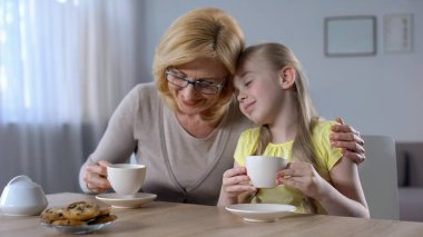 Yaşlı büyükanne ve çay içme ve mutlulukla gülümsüyor, Aile torunu