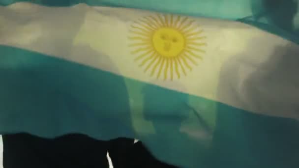 Niño Con Padres Saltando Con Bandera Argentina Animando Selección Nacional — Vídeos de Stock