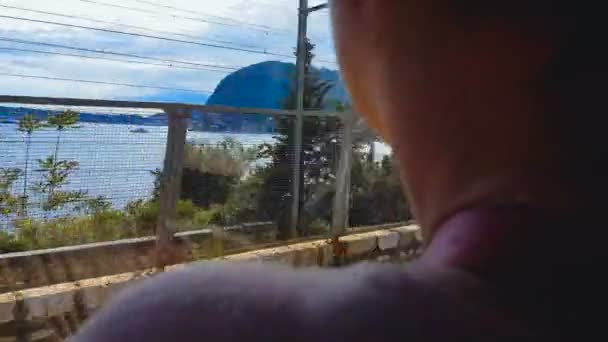 Turista Femenina Mirando Por Ventana Viajando Tren Mar Azul Árboles — Vídeos de Stock