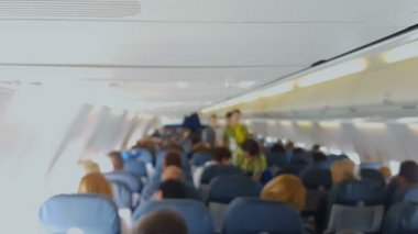 Hostes yemekleri sunan üniformalı havayolu Servisi, konfor turizm şirketi.