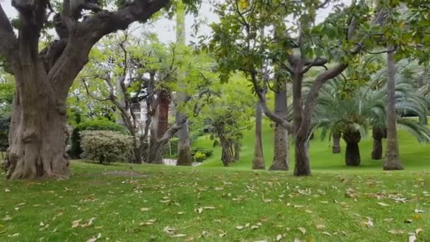 Vacker Grön Trädgård Nice Resort City Rekreation Frankrike Natur — Stockvideo