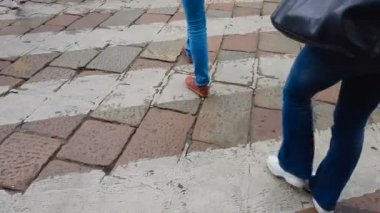 Zebra, trafik kurallarına uymakla üzerinde kaldırım taşı döşeli yol geçiş yayalar