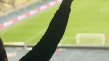 Stadyum, favori takım destek, eşarp sallayarak mutlu futbol taraftarları yakın çekim