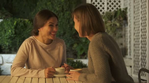 Lady Telling Her Friend Pleasant News Both Laughing Having Cup — Stock Video