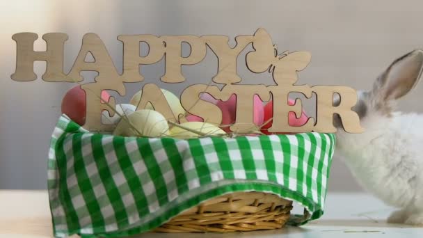 Pequeño Conejito Travieso Rompiendo Decoración Pascua Cesta Con Huevos Colores — Vídeo de stock