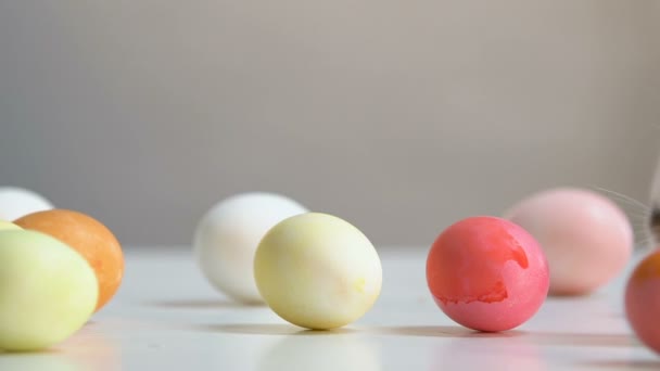 Petit lapin sautant entre œufs colorés teints, symbole de Pâques, traditions 