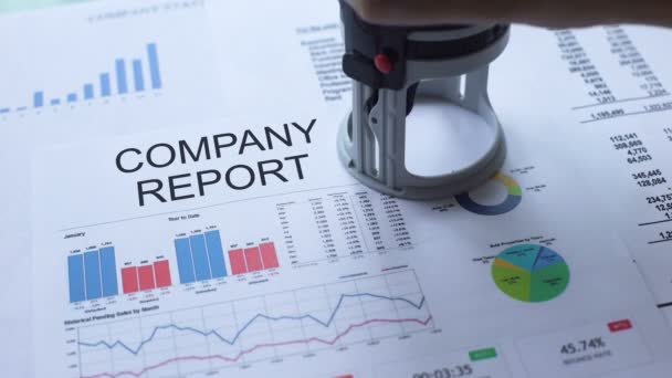 Relatório Empresa Aprovado Selo Carimbo Mão Documento Oficial Estatísticas — Vídeo de Stock