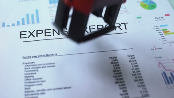 Relatório Despesas Confidencial Carimbo Mão Selo Documento Oficial Estatísticas — Vídeo de Stock