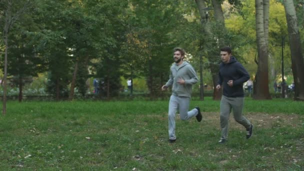 Two Male Friends Jogging Park Early Morning Fitness Exercises Lifestyle — Stock Video