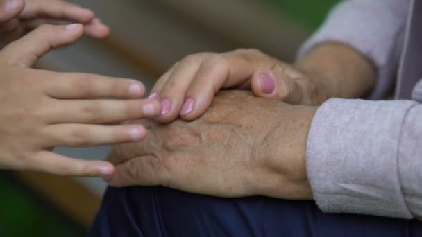 Hands Little Girl Carefully Holding Old Wrinkled Hands Granny Close — Stock Video