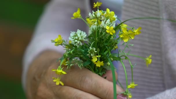 Stará Vrásčitá Žena Sedí Čichání Zahradní Květiny Vzpomínky Zblízka — Stock video