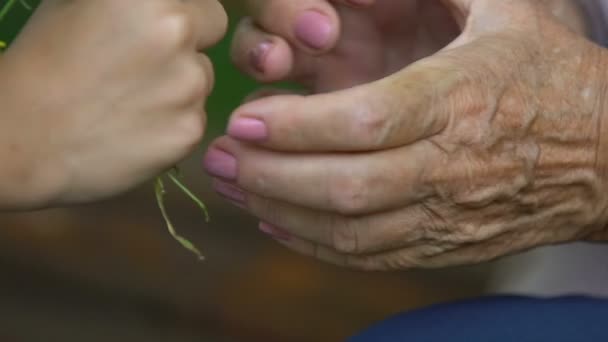 Little Girl Giving Flowers Meadow Grandmother Holding Hands Close — Stock Video