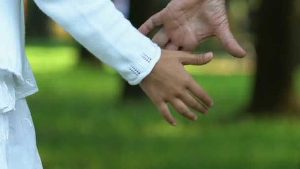 Mulher Velha Tomando Mão Menina Andando Parque Fim Semana Família — Vídeo de Stock