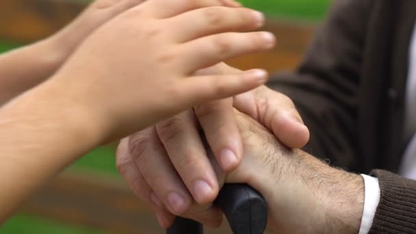男孩的手小心地牵着老人的手 用拐杖坐在板凳上 — 图库视频影像