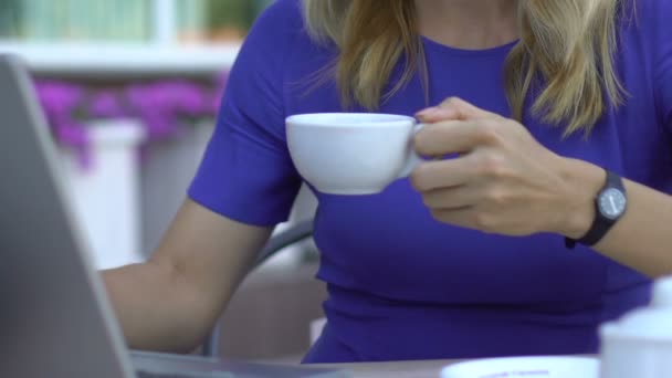 Young Beautiful Lady Blogger Drinking Coffee Restaurant Writing Article — Stock Video