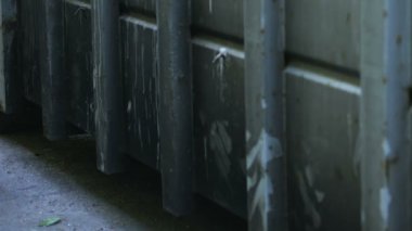 Arka Bahçe, Okulu, itaatsiz çocukta sıkılmış yürüyen genç sınıfları atlar
