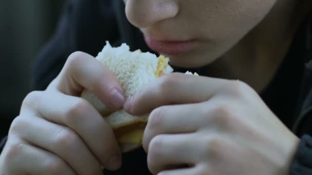 サンドイッチ 貧困のクローズ アップに住んでいる子を食べて空腹のホームレス少年 — ストック動画