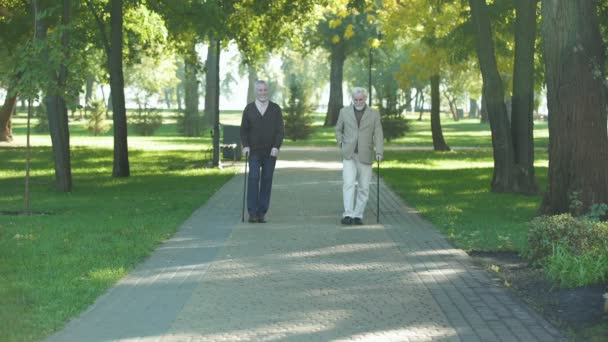 Due Vecchi Uomini Sconvolti Che Camminano Nel Parco Parlano Vita — Video Stock