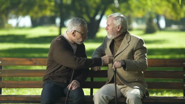 Пожилой Мужчина Шутит Другом Старики Веселятся Летнем Парке Пенсии — стоковое видео